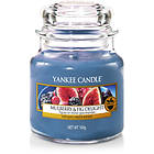 Yankee Candle Small Jar Mulberry & Fig Delight