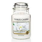 Yankee Candle Large Jar White Gardenia