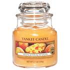 Yankee Candle Small Jar Mango Peach Salsa