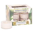 Yankee Candle Tea Champaca Blossom