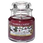 Yankee Candle Small Jar Madagascan Orchid