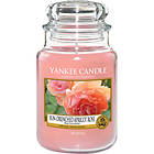 Yankee Candle Large Jar Sun Drenched Apricot Rose