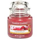 Yankee Candle Small Jar Cranberry Ice