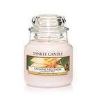 Yankee Candle Small Jar Champaca Blossom