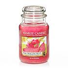 Yankee Candle Large Jar Pink Dragonfruit