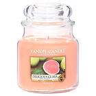 Yankee Candle Medium Jar Delicious Guava