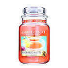 Yankee Candle Large Jar Passionfruit Martini