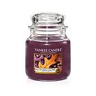 Yankee Candle Medium Jar Autumn Glow