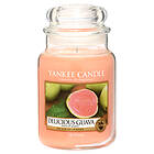 Yankee Candle Large Jar Delicious Guava