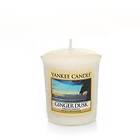 Yankee Candle Votives Ginger Dusk