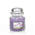 Yankee Candle Medium Jar Honey Blossom