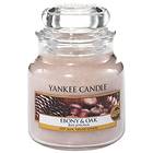 Yankee Candle Medium Jar Ebony & Oak