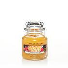 Yankee Candle Small Jar Waikiki Melon