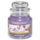 Yankee Candle Small Jar Honey Blossom