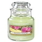 Yankee Candle Small Jar Pineapple Cilantro