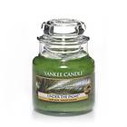 Yankee Candle Small Jar Under The Palms