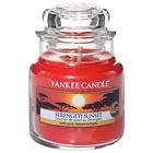 Yankee Candle Small Jar Serengeti Sunset