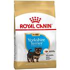 Royal Canin BHN Yorkshire Terrier Puppy 1,5kg