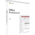 Microsoft Office Professional 2019 MUI (ESD)
