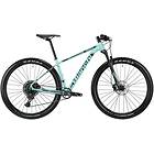 Bianchi Grizzly 9.1 2019