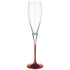 Villeroy & Boch Allegorie Premium Champagne Glass 26cl 2-pack