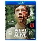 What Keeps You Alive (Blu-ray)