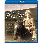Black Beauty (UK) (Blu-ray)