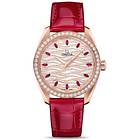 Omega AQUA 220.58.38.20.99.004