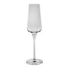 Chef & Sommelier Sublym Champagneglas 21cl