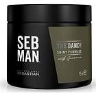 Sebastian Professional Seb Man The Dandy Shiny Pommade 75ml