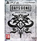 Days Gone - Special Edition (PS4)