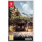 Trüberbrook (Switch)