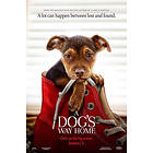 A Dog's Way Home (Blu-ray)