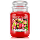 Country Candle Large Jar 2 Wick Bougies Parfumées Macintosh Apple