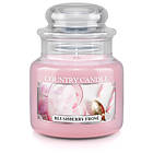 Country Candle Mini Jar Doftljus Blushberry Frose