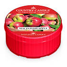 Country Candle Daylight Doftljus Macintosh Apple