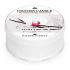 Country Candle Daylight Doftljus Vanilla Orchid