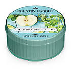 Country Candle Daylight Scented Candle Cilantro Apple & Lime