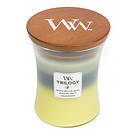 WoodWick Trilogy Medium Doftljus Icy Woodland