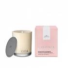 Ecoya Mini Madison Jar Doftljus Sweet Pea & Jasmine