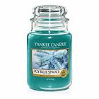 Yankee Candle Large Jar Icy Blue Spruce