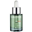 Caudalie Vine[Activ] Overnight Detox Oil 30ml