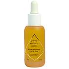 Björk & Berries Birch Recovery Face Oil 30ml