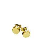 Edblad Dottie Studs Shiny Gold Örhängen (Dam)