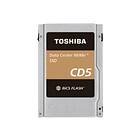 Kioxia CD5 KCD51LUG960G 960GB