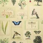 Designers Guild Picture Book Flora And Fauna Parchment (PJD6001/01)