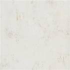 Designers Guild Tulipa Stellata Impasto Buttermilk (PDG1034/02)