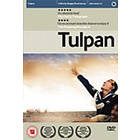 Tulpan (UK) (DVD)