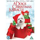 A Dog's Christmas Miracle (UK) (DVD)