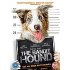 The Bandit Hound (UK) (DVD)